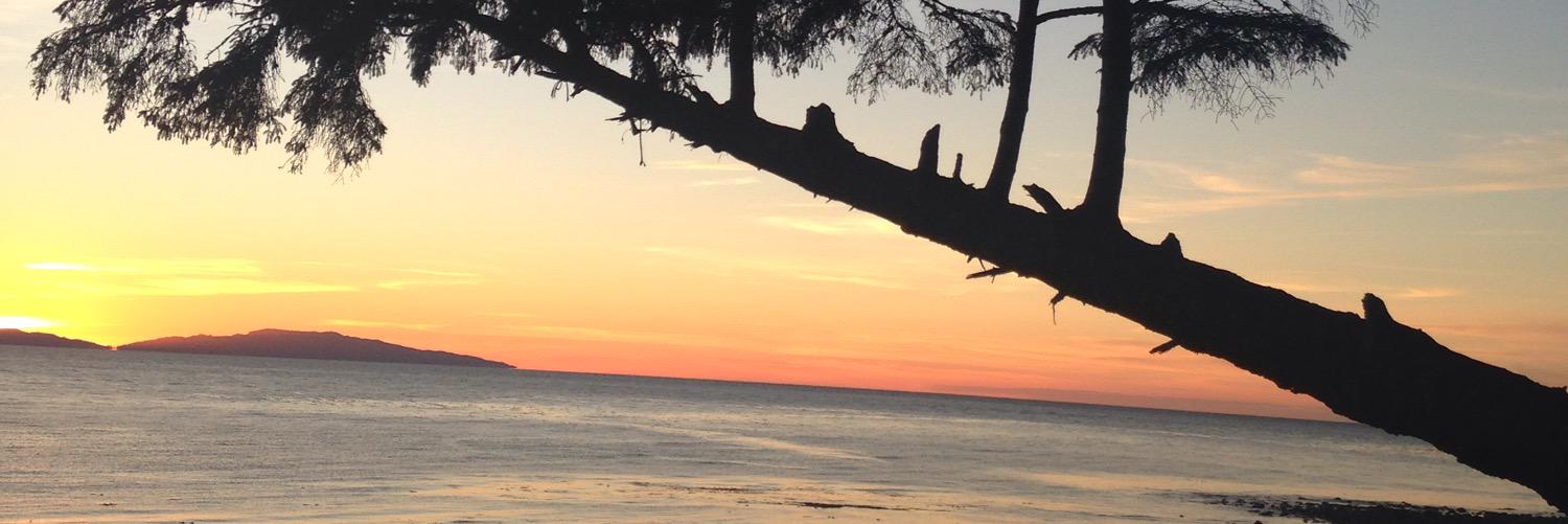 AaronRedican's profile banner image