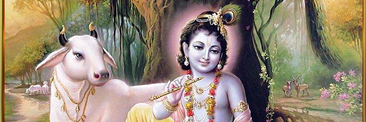shubhammathur's profile banner image