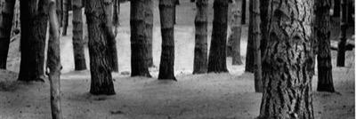 _favago's profile banner image
