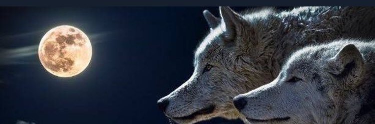 byesildal93's profile banner image
