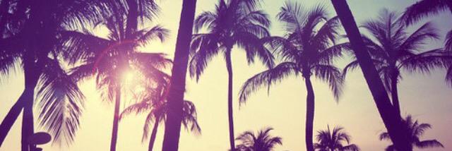 mandy_ohh's profile banner image