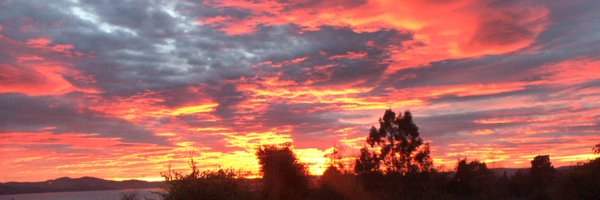 shalf79 Profile Banner