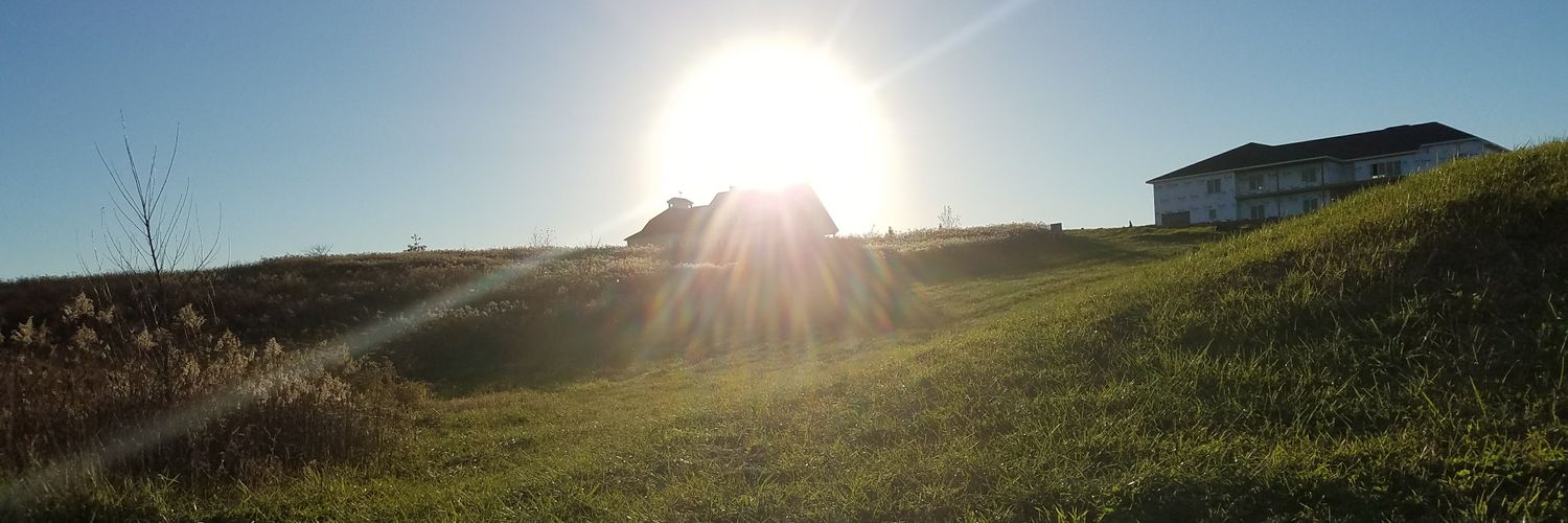 beeskneesmb's profile banner image