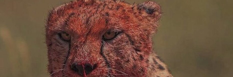 Chris_Itu_'s profile banner image
