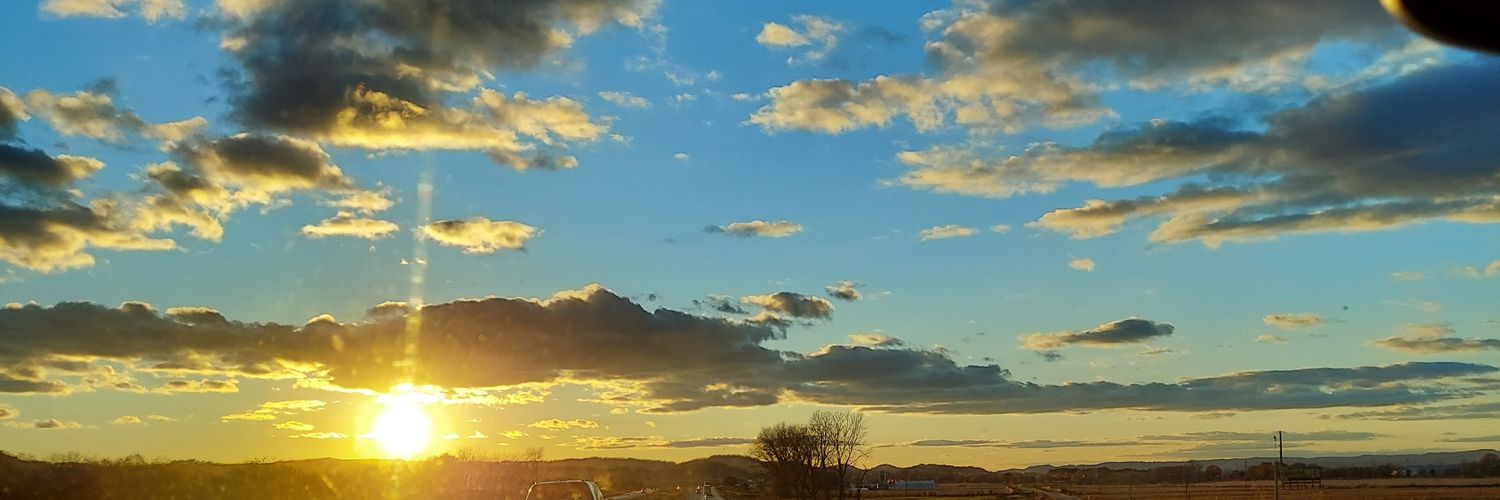 tmn60's profile banner image