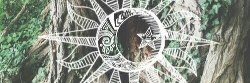 BordonBruna's profile banner image