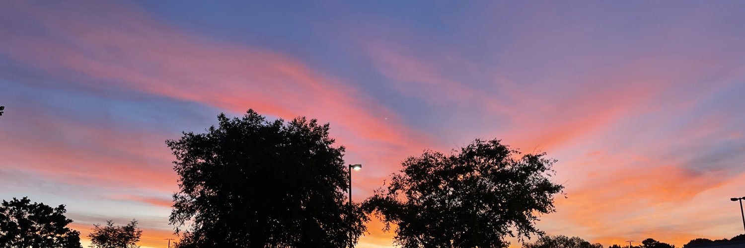 _adrianabrown_'s profile banner image
