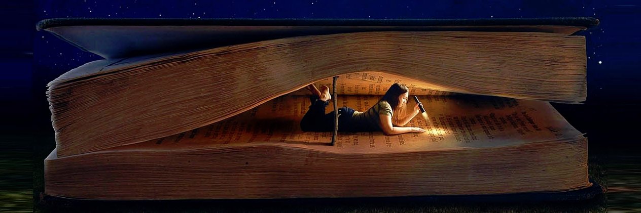 Your Book Zone banner