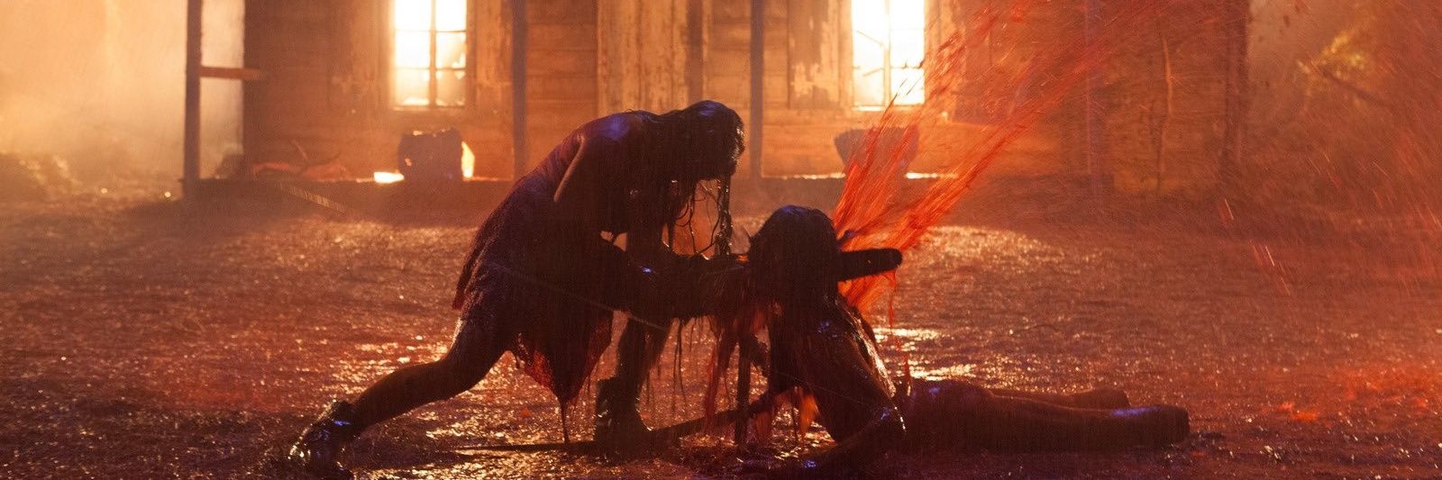 🎃 Al Krueger 🎃 🇵🇸 banner