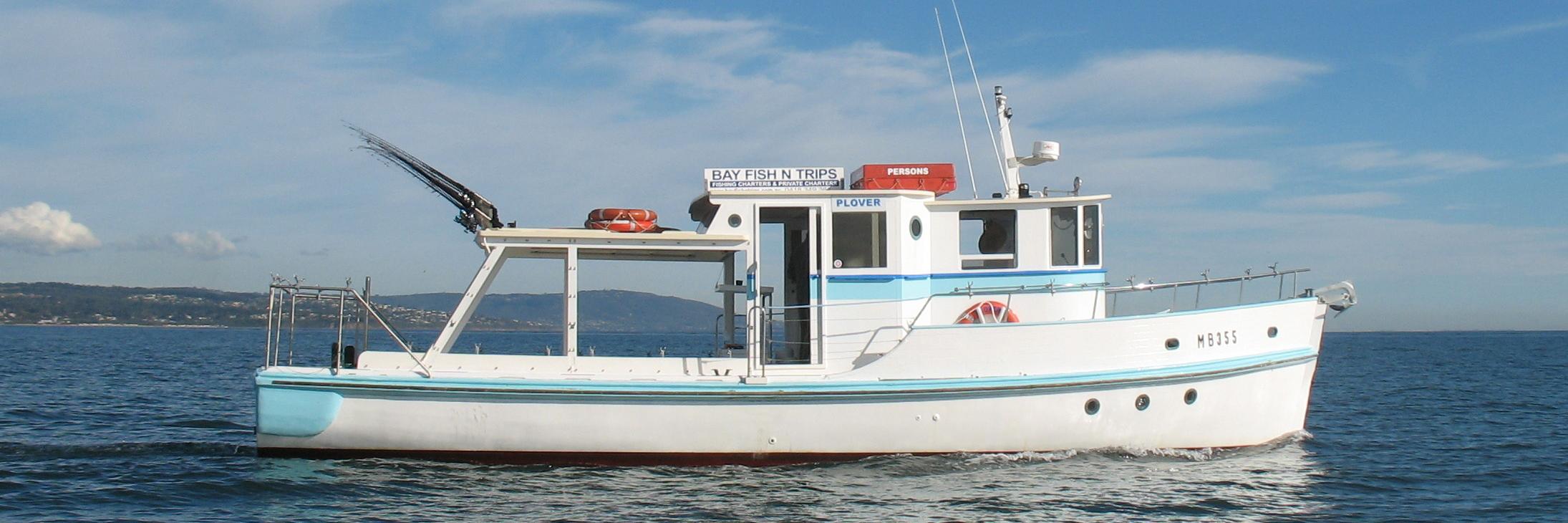bayfishntrips's profile banner image