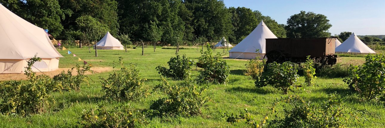Gooseberry Glamping banner