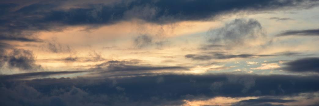 dusziiii's profile banner image