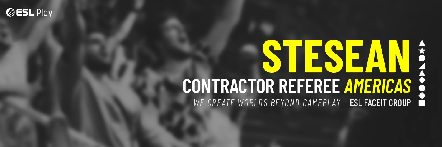 steseann's profile banner image