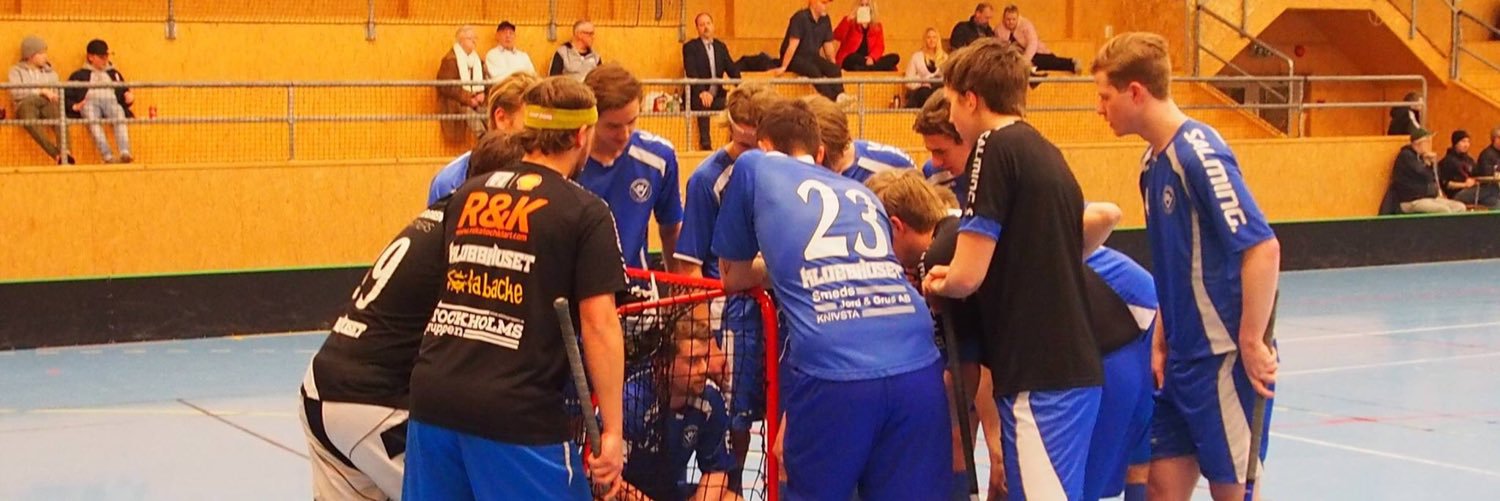 Skvidelit's profile banner image