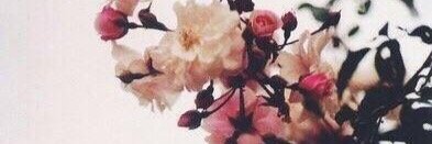 brunaSky_'s profile banner image