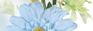 ajisai_2d's profile banner image