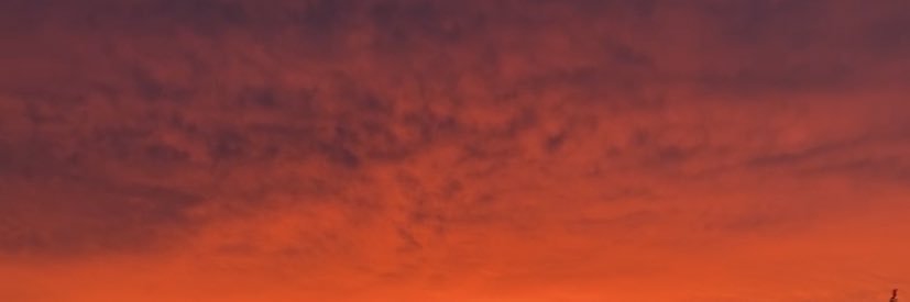 jesxxca's profile banner image