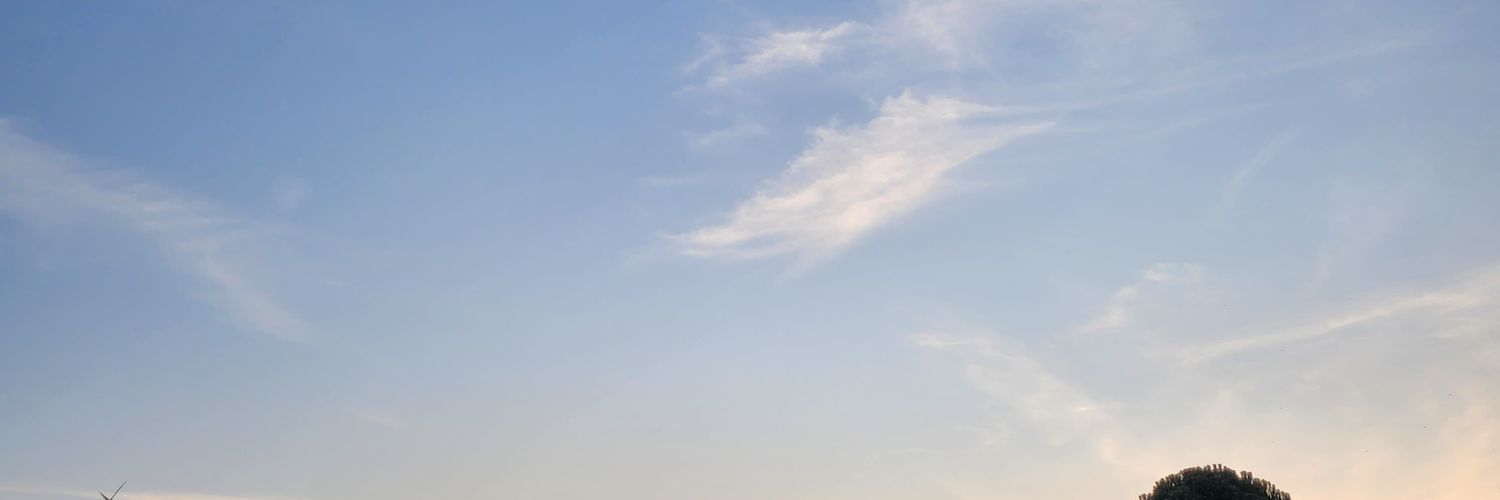 JESXSFARIAS's profile banner image