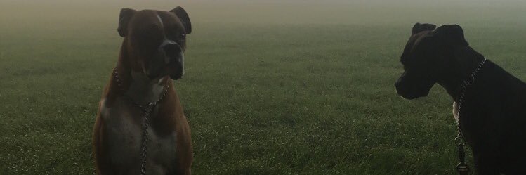 serg_alejandro's profile banner image