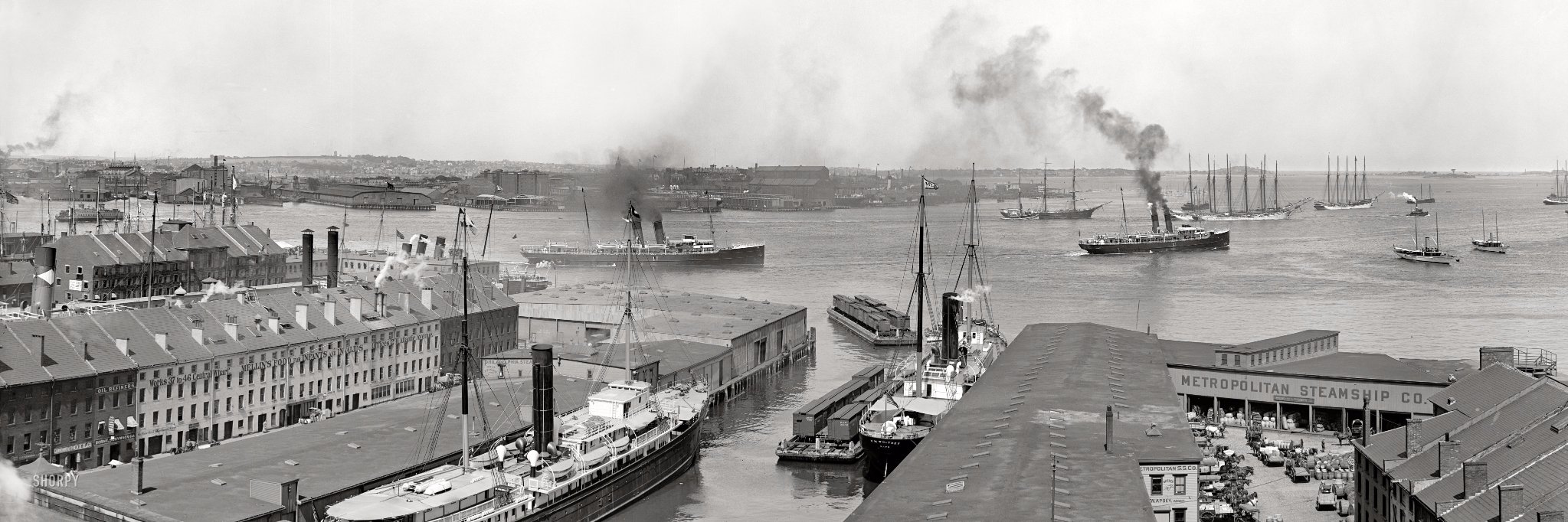 The Boston View banner