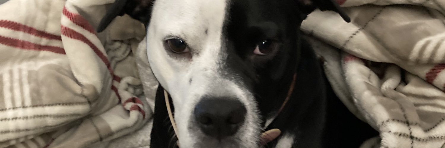 AKAShawnee's profile banner image