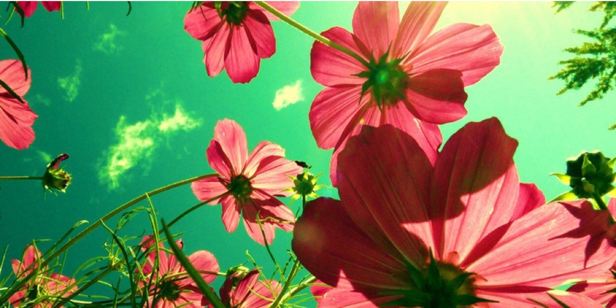 meloniehotter's profile banner image