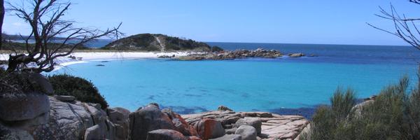 NTDCorp Profile Banner