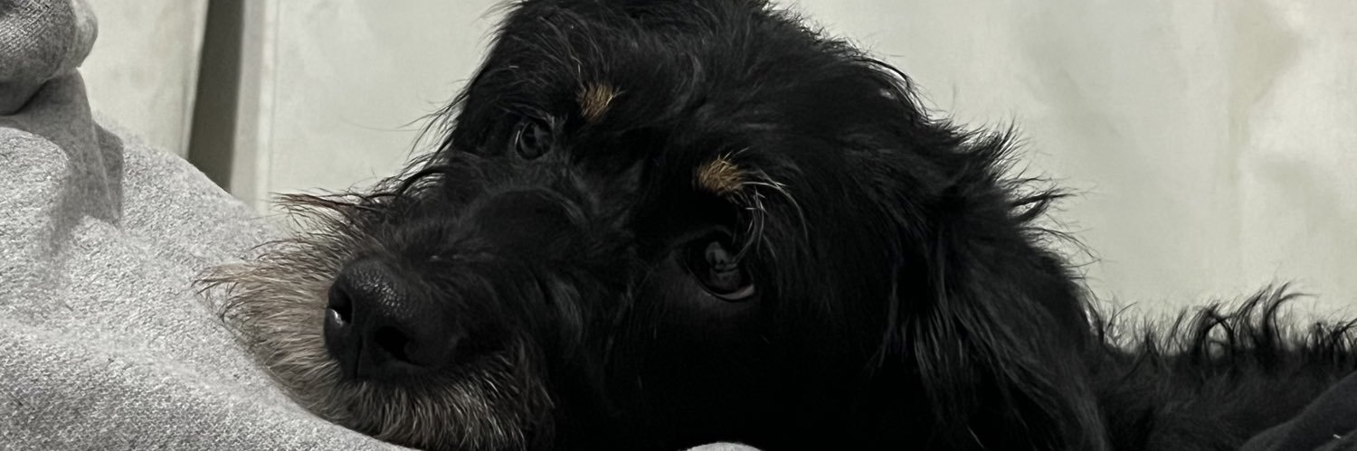RichardAvila27's profile banner image