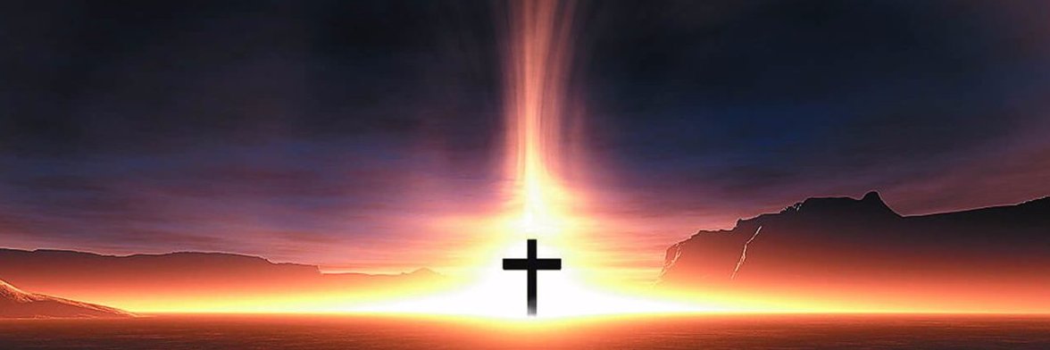 bornagainlosers's profile banner image