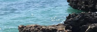 Jessica banner