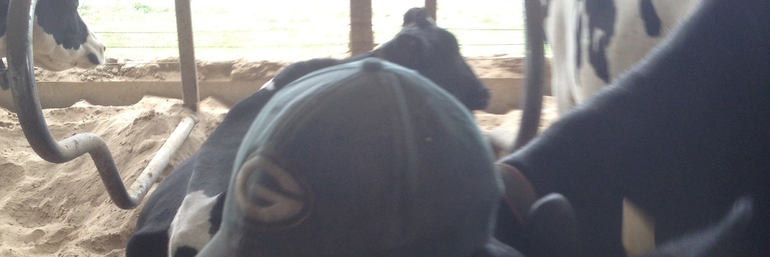 mikerobin12's profile banner image