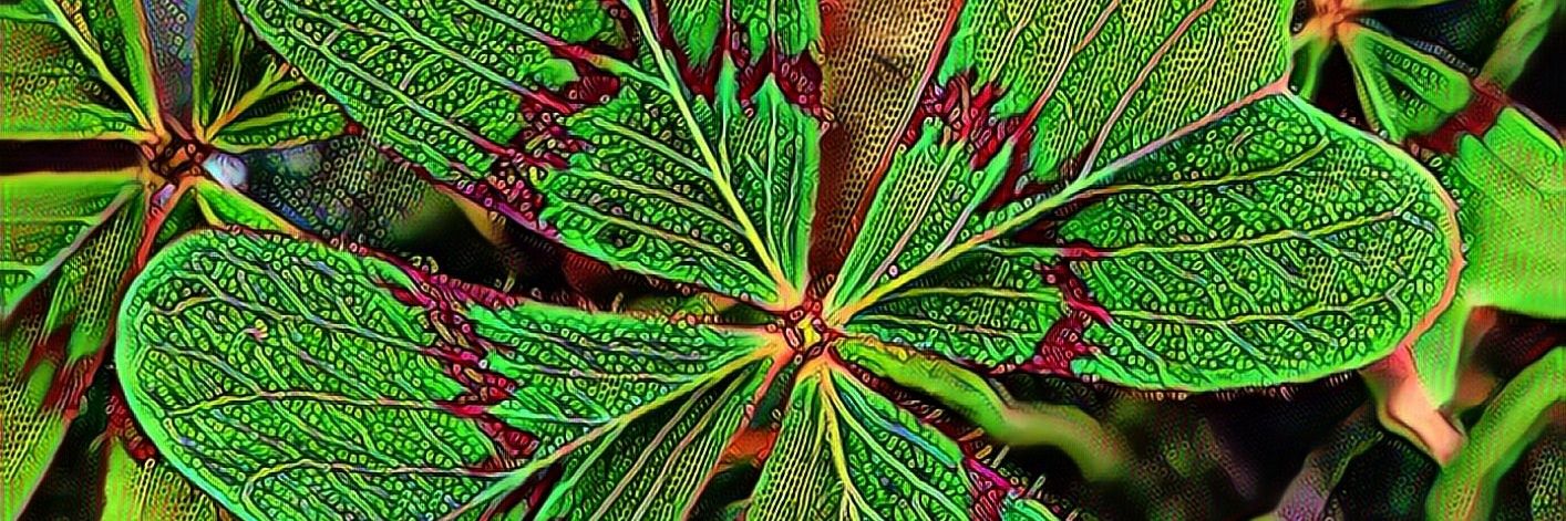 This_crazy_me's profile banner image