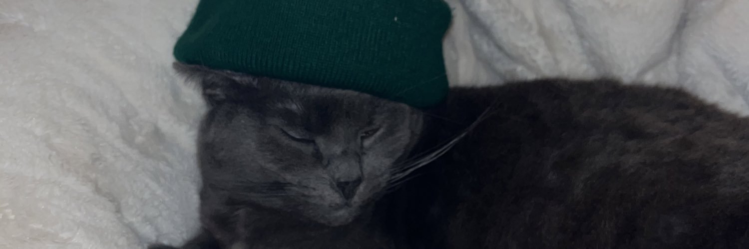 tab_sling's profile banner image