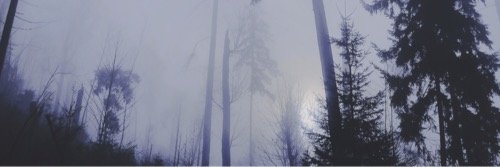 hatefxck's profile banner image
