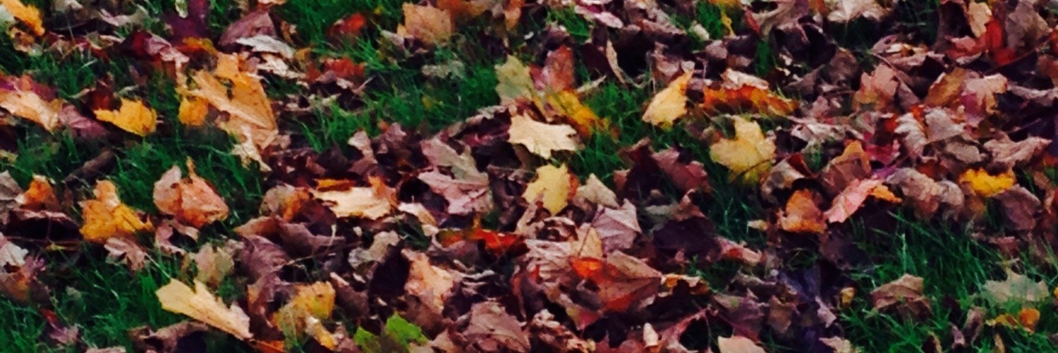 kingcallow's profile banner image