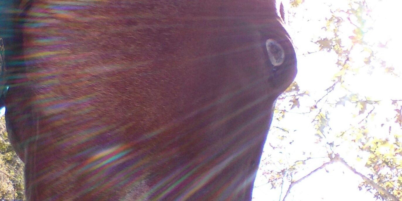 EvilKittenTink's profile banner image