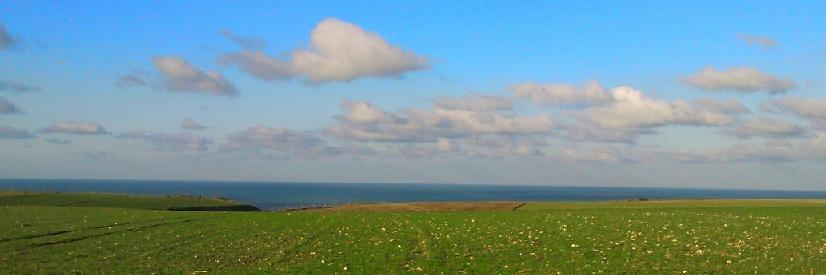 Noémi lefebvre banner