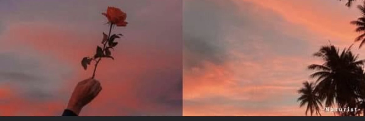 heartless_xX's profile banner image