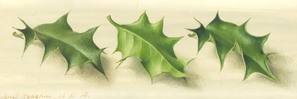 ArtGuideAlex Profile Banner