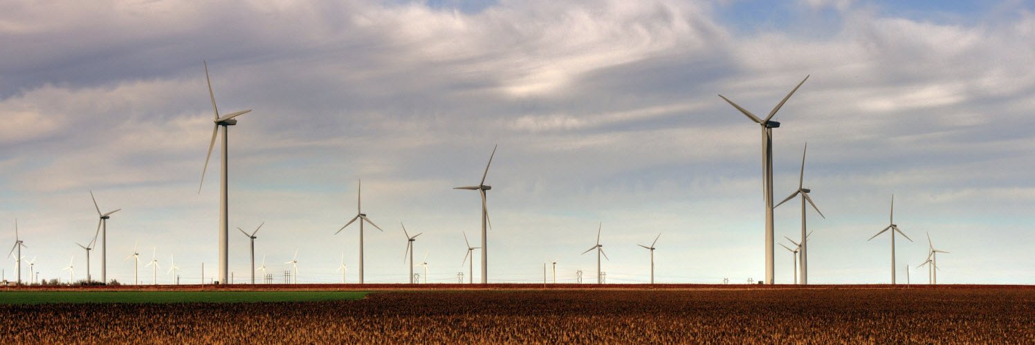 Peter Saundry banner