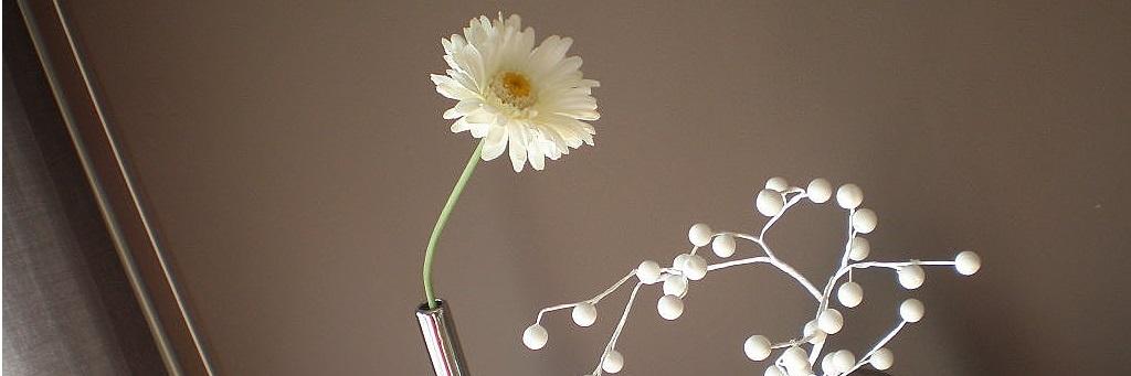 Esther Mami SIN Gritos banner