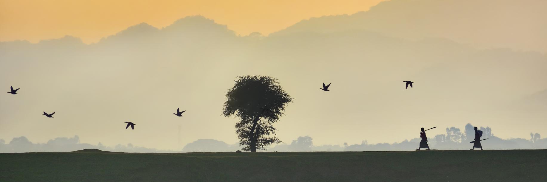 Wikimedia Commons banner