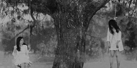 jbzey1's profile banner image