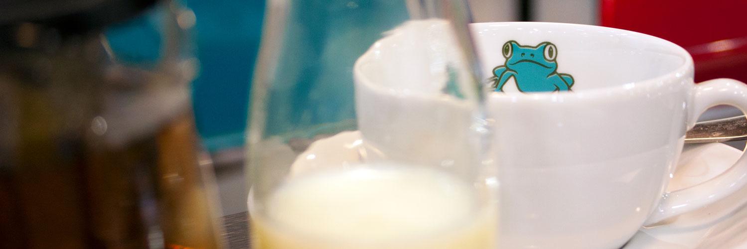 SecretFrogCo's profile banner image
