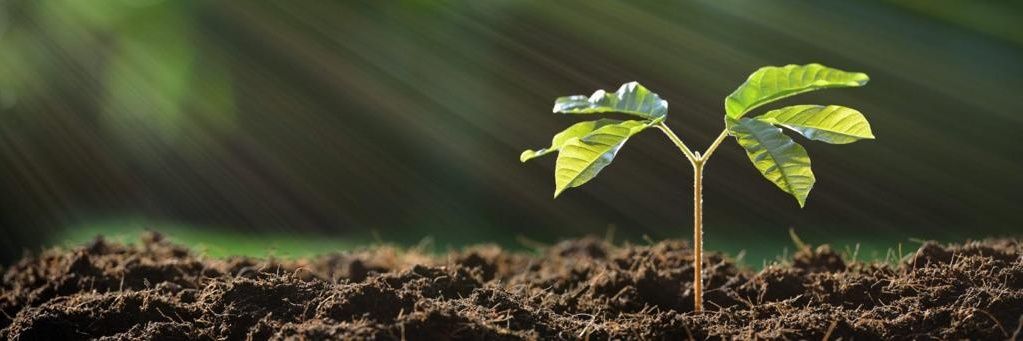 Cllr Áine Groogan banner