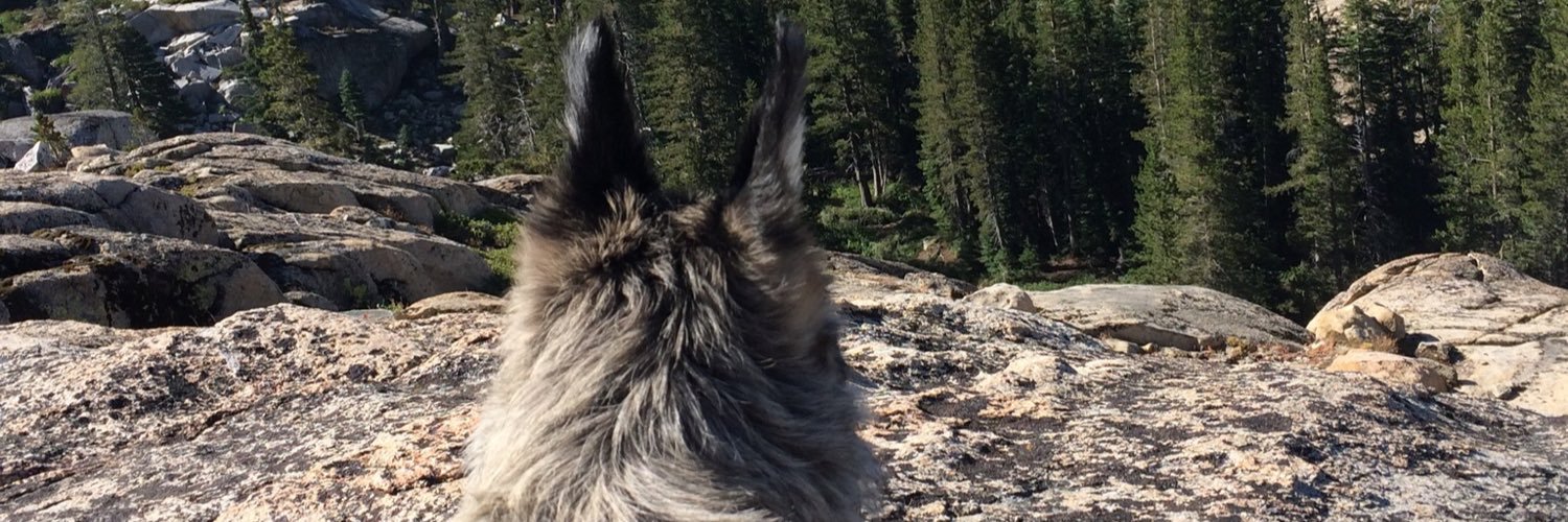 RaeVanderWerf's profile banner image