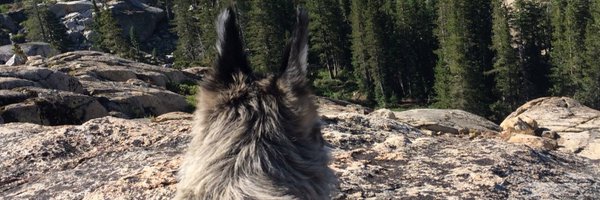 RaeVanderWerf Profile Banner