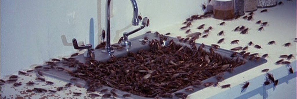 RattyCockroach's profile banner image