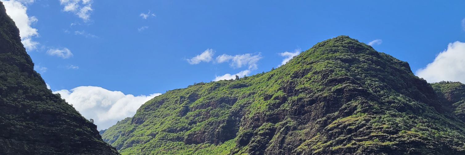 Tony Bonilla 🇺🇦 banner