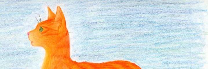 Foxpaw_1's profile banner image